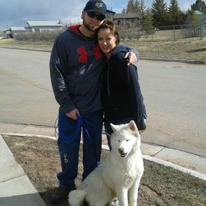 Meet your Posher, Josh